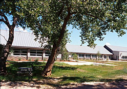Bosque School courtyard