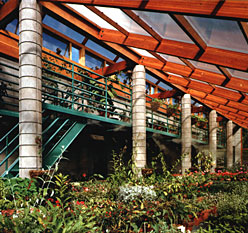 Greenhouse